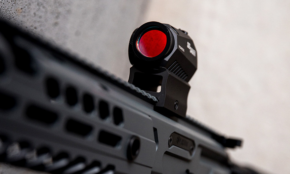 Viser Un Sanglier Avec Un Point Rouge Viser Un Sanglier Avec Un Point Rouge - Communauté MCMS™.