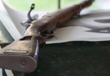 Combien coûte une carabine à plomb ?