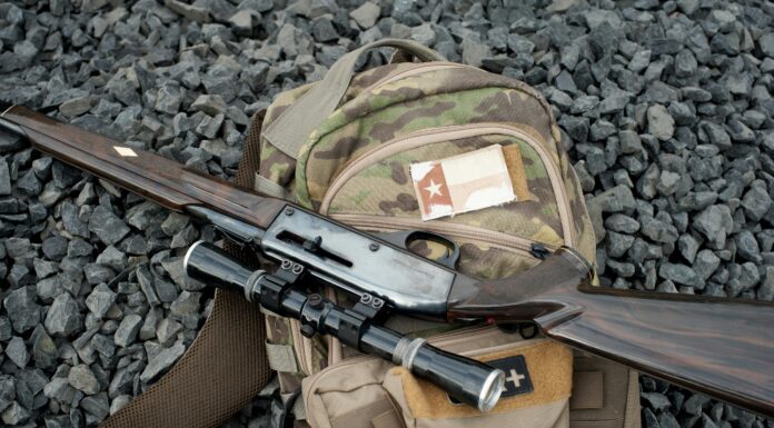 Comment débuter dans sa collection d’armes : le guide pour passionnés